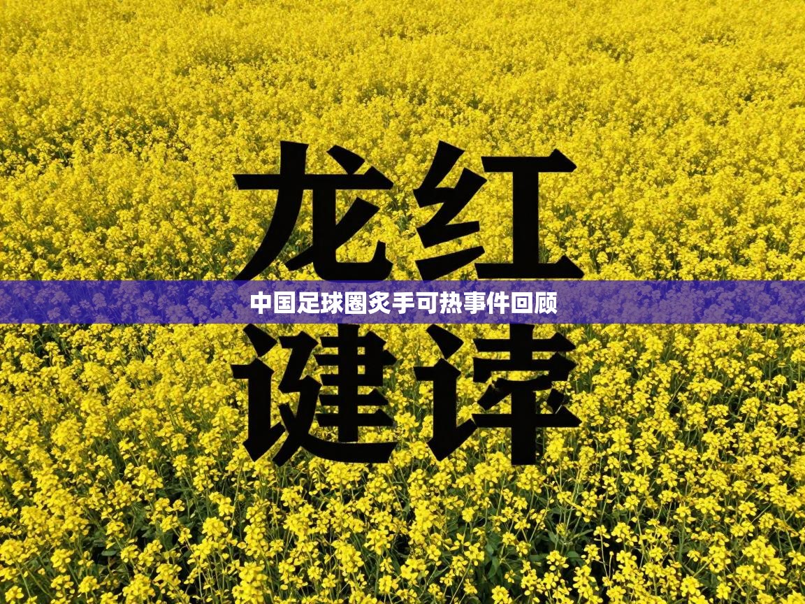 中国足球圈炙手可热事件回顾  第2张