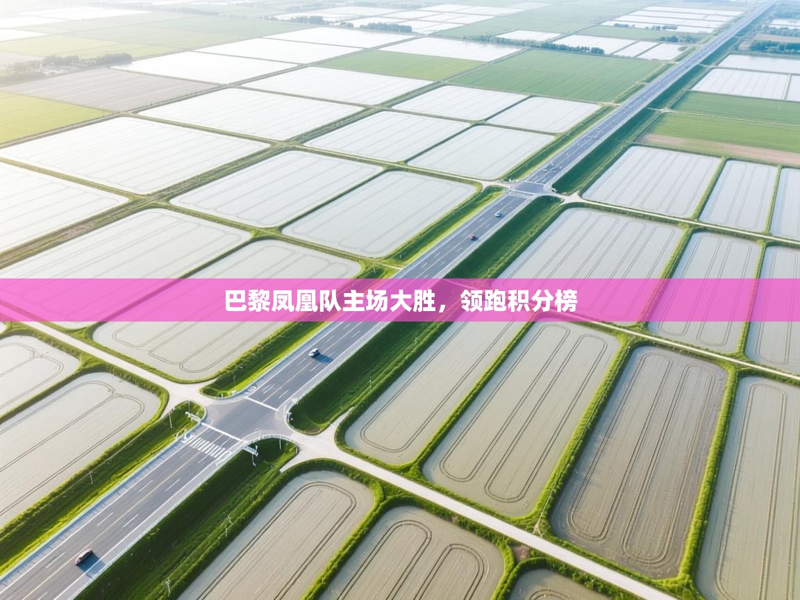 巴黎凤凰队主场大胜，领跑积分榜  第1张