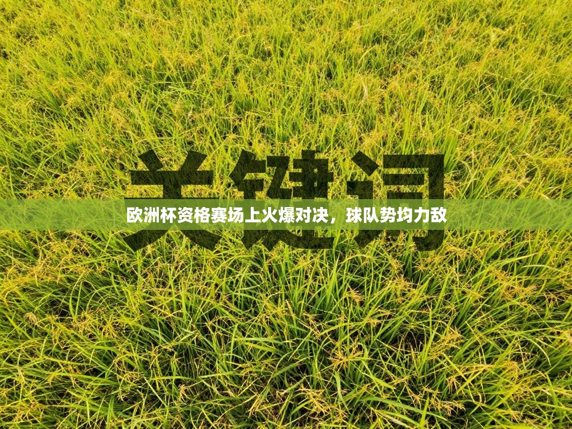 欧洲杯资格赛场上火爆对决，球队势均力敌  第2张