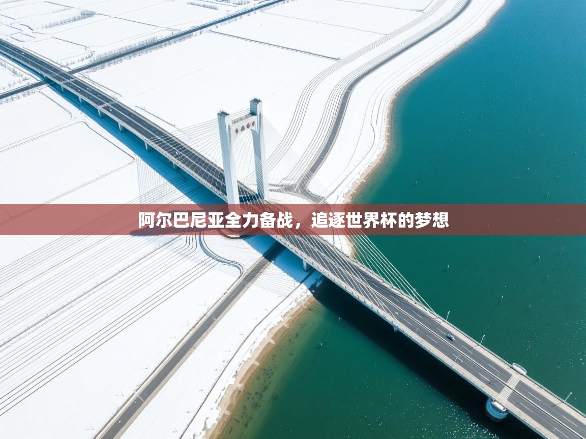 阿尔巴尼亚全力备战，追逐世界杯的梦想  第1张