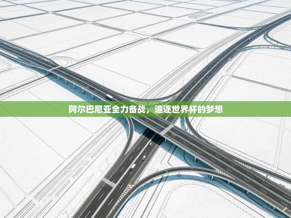 阿尔巴尼亚全力备战，追逐世界杯的梦想  第2张