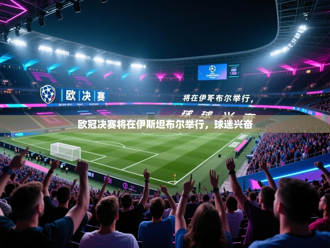 欧冠决赛将在伊斯坦布尔举行，球迷兴奋  第2张