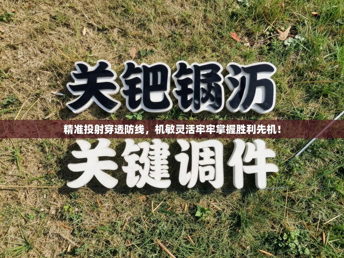 精准投射穿透防线，机敏灵活牢牢掌握胜利先机！  第1张