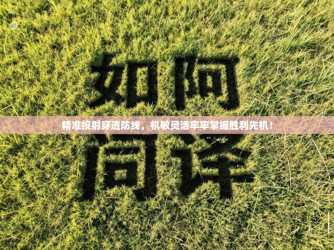 精准投射穿透防线，机敏灵活牢牢掌握胜利先机！  第2张